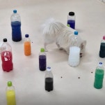 디너의여왕 - [충북 청주] 멍삼이네 20차