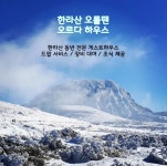 디너의여왕 - [제주 제주시] 오르다하우스 21차