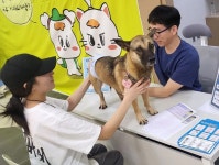 디너의여왕 - [부산 수영] 펫스테이션 4차