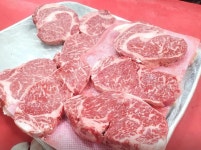 디너의여왕 - 캠페인