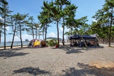 디너의여왕 - 캠페인