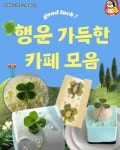 디너의여왕 - [주문하신 행운 나왔습니다] 행운 가득한 카페 모음 !!