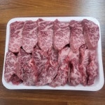 디너의여왕 - [충북 단양] 대성산정육식당 2차