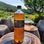 디너의여왕 - [하동좋은매실농원] 매실청 0차