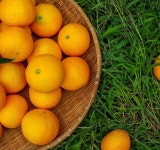 디너의여왕 - 강남교자 - 서초구 서초동 한식 칼국수 만두 추천맛집