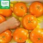 디너의여왕 - 이삭토스트 메뉴 BEST5