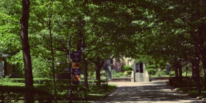 김박사넷 유학교육