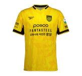 전남드래곤즈