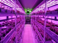 네덜란드 스마트팜의 현장, 2017 GFIA Europe에 가다