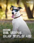 멍품, 댕마카세.. 파나마 '펫코노미' 시장