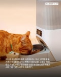 멍품, 댕마카세.. 파나마 '펫코노미' 시장