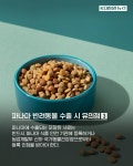 멍품, 댕마카세.. 파나마 '펫코노미' 시장