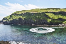 [킴스제주] 우도 여행 + 동쪽 시즌별 명소 1곳 :마이리얼트립