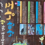 여수의 3섬 이야기: 맛과 쉼을 찾아서(낭도, 거문도, 백도)