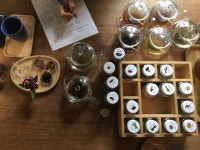 [서울/안국] 웰니스체험! 티테라피(tea therapy) 원데이 클래스