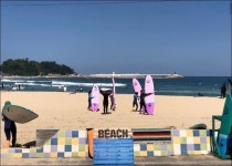 서프오션 죽도 (강원/양양) :마이리얼트립 대한민국여행