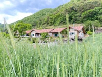 우리끼리만 웰니스 가족여행 영월,정선 1박2일(4명이상 모객시