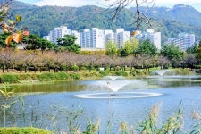 [경남/김해]김해의 중심 내외동 시티 투어 :마이리얼트립