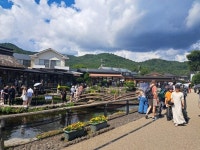 [ 제펜고고JAPANGOGO일본전문여행사]-후지산 & 오시노 핫카이