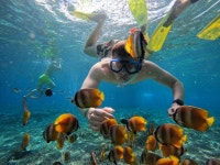 [가오리와 인생샷] 발리 누사페니다 스노클링 투어 (한국어 ,