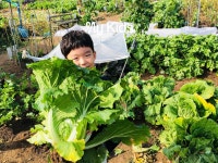 [키즈][경기/양평] 외갓집에서 당일로 농장체험부터 겨울 전통놀이까지! - 마이리얼트립