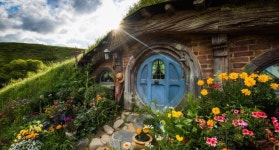 호빗톤(호빗마을) 만 가실분 :마이리얼트립 뉴질랜드여행 호빗톤(호빗마을) 만 가실분  :마이리얼트립 뉴질랜드여행