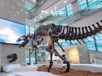 [라라클래스] 원어민 선생님과 서대문자연사박물관