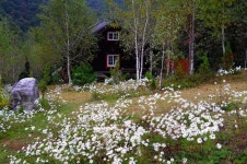 미술관 자작나무숲 입장권 :마이리얼트립 대한민국여행