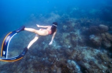 보라카이 예그리나 프리다이빙 Level 1 / 1+2 통합 라이센스