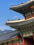 경복궁 투어 - 역사 전문 강사와 함께하는 인문학 산책