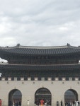 경복궁 투어 - 역사 전문 강사와 함께하는 인문학 산책