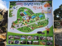 [제주] 최남단 감귤체험농장 :마이리얼트립 대한민국여행