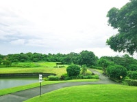 수빅 안바야코브 골프 클럽 18홀 그린피 (Anvaya cove golf