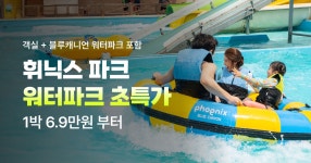 휘닉스파크 특가 사전알림