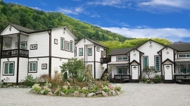 가평 - 가평 초록빛계곡 애견동반펜션 후기, 가격, 위치 - 예약