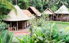 우붓 요가반 요가 체험 & 푸드 투어 :마이리얼트립