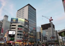 히로시마 야간 푸드 & 현지 투어 :마이리얼트립 일본여행