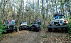 [바투르산/킨타마니] 바투르산 사륜구동 지프 일출 체험 (발리)