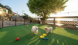 거제 - 거제 썬비치 애견 펜션 후기, 가격, 위치 - 예약