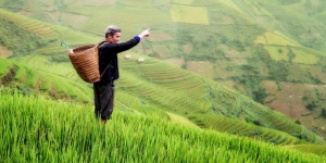 [우붓] 타로 빌리지 반딧불 투어 + 농장 체험 & 발리식 디너