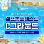 캠프통포레스트 C그라운드 :마이리얼트립 대한민국여행