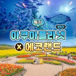 마이에코트립 | [제주/특가] 아쿠아플라넷(종합권)+에코랜드 :마이리얼트립