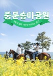 [중문] 제주 중문승마공원 이용권 :마이리얼트립 대한민국여행