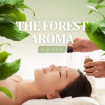 더하운드 아로마 테라피 | [제주] 더 숲 아로마 앤 테라피 :마이리얼트립 대한민국여행