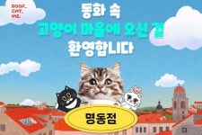 [서울] 루프캣미 실내 고양이카페 명동점 :마이리얼트립