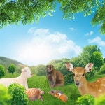 와우쥬경기도지사 | [충북 청주] 실내동물원 와우쥬 WOWZOO 입장권 :마이리얼트립