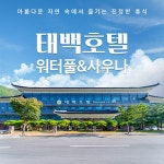 [강원] 태백호텔 워터풀&사우나 :마이리얼트립 대한민국여행