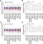 [PDF] Expression reduction in mammalian X chromosome evolution refutes Ohno’s hypothesis of dosage compensation | Semantic Scholar