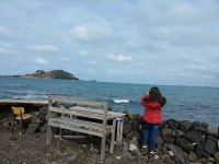 [여행]제주 애월 - DVDPrime