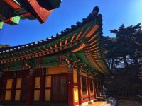 100대 명산 정복 프로젝트 - 덕숭산 (스압) - DVDPrime